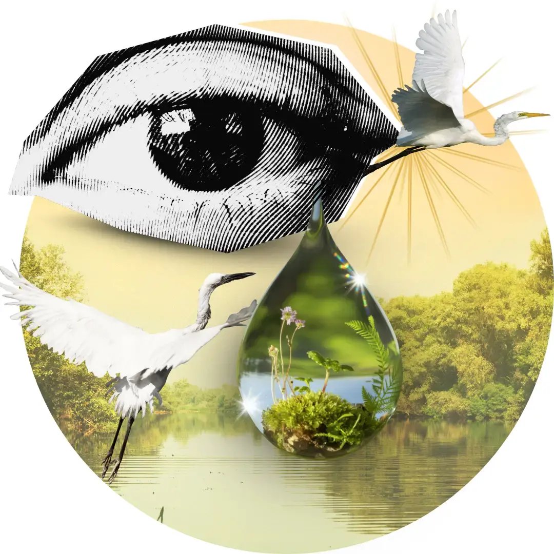 Navigating Eco-Anxiety: Creating Calm in a Climate Collapsed World